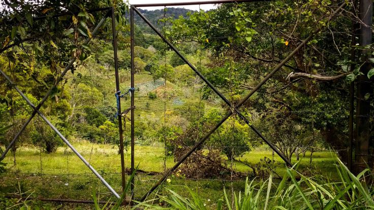 img_20170121_134257383