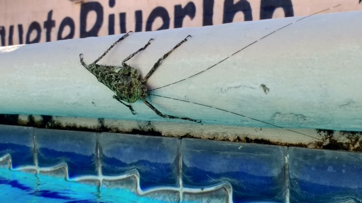 img_20170128_153958850_hdr