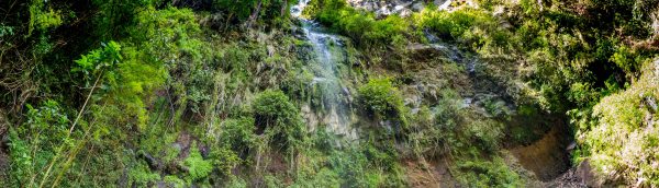 Boquete: Pipeline Trail hike day