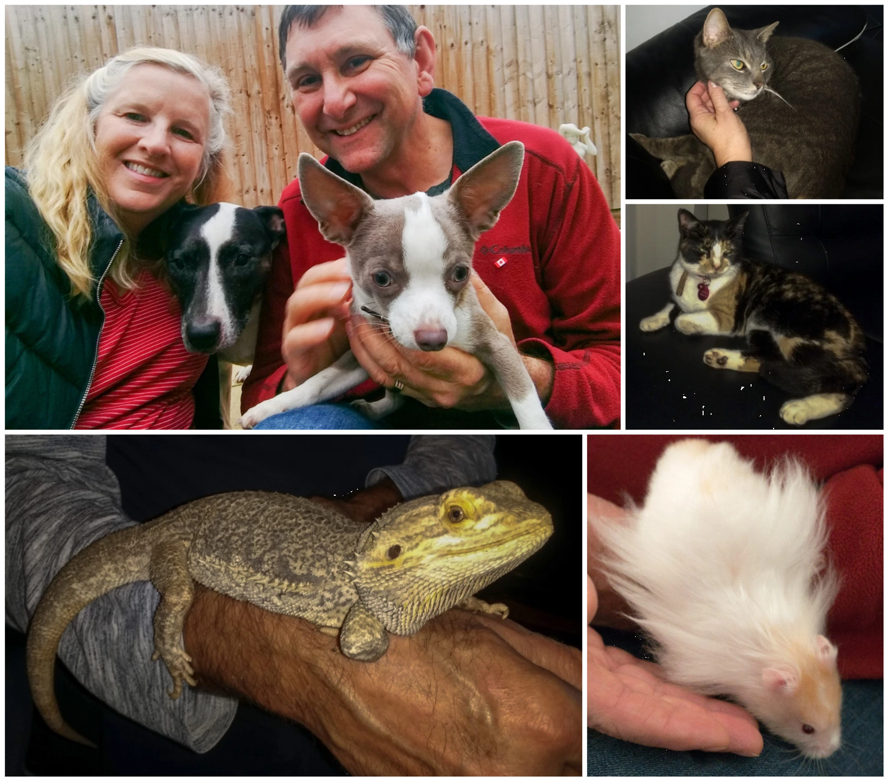 Huntingdon_menagerie2