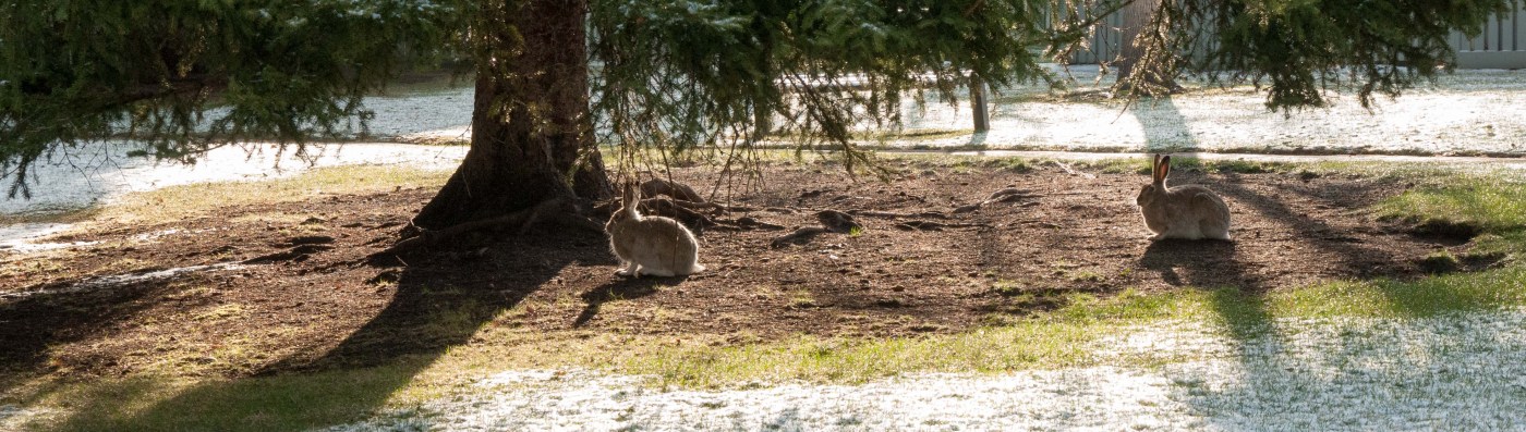 Canada: Winter or Spring?