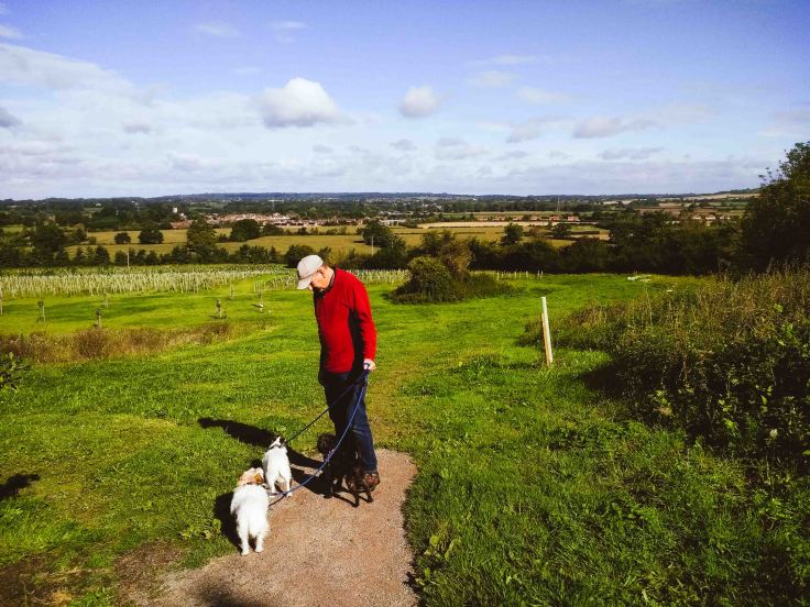 LRM_20170909_102505-2